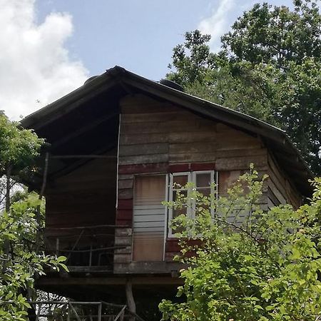锡吉里森林景观度假村 锡吉里亚 外观 照片