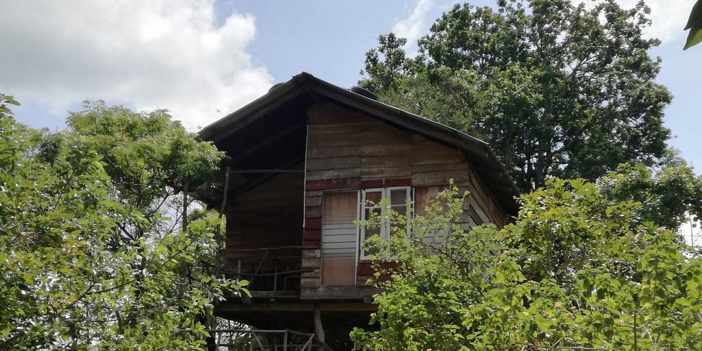 锡吉里森林景观度假村 锡吉里亚 外观 照片